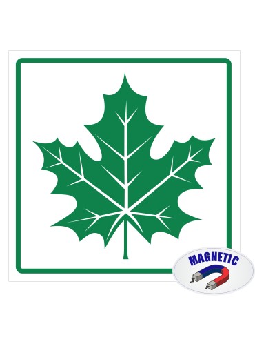 Magnetic Sticker Maple Leaf with veins 150x150mm
